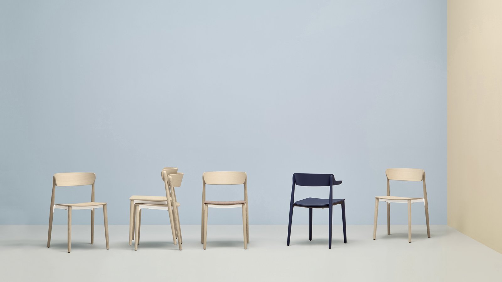 Designstolen Nemea fra Pedrali i ask