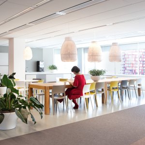 Designstoler fra Arper: Juno 02 kolleksjonen