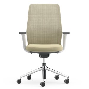 Duo-ryggen tilbakelent