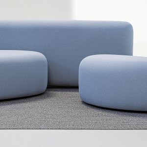 Den lille puffen fra Lisse fotografert alene, oval og uregelmessig