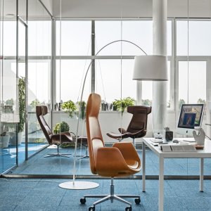 Tofarget Nordic med kontrasterende skall