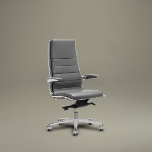 Direktørstol Sit it fra Sitland i skinn